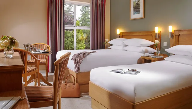 غرفة قياسية بسرير مزدوج، Shannon Springs Hotel 2/5