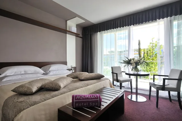 Aqua, Double Bed, Pool View، Aqualux Hotel Spa Suite & Terme 4/8