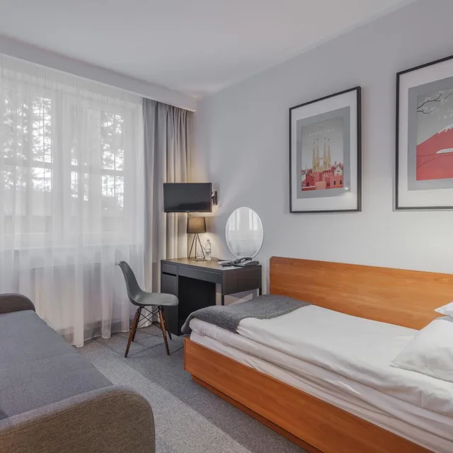 غرفة قياسية مفردة مع أريكة، Hotel Edison 1/7
