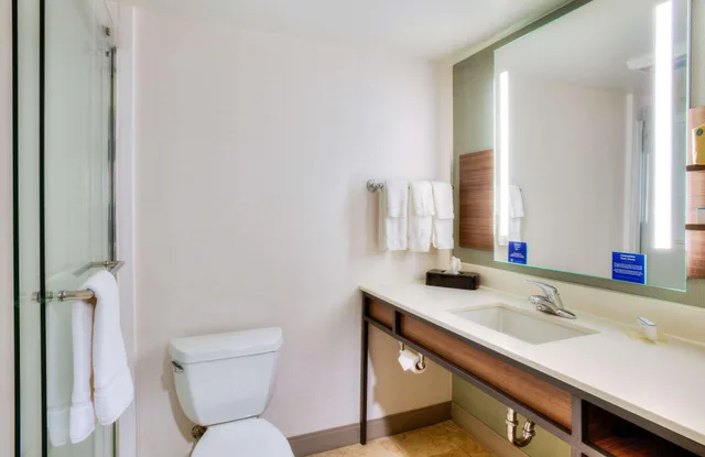 جناح بسريرين مزدوجين بغرفة نوم واحدة لذوي الإعاقة، Hilton Garden Inn Indianapolis Northeast/Fishers, IN 3/3