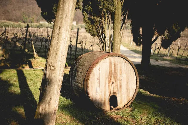 Massimago Wine Relais، فيرونا 42/50