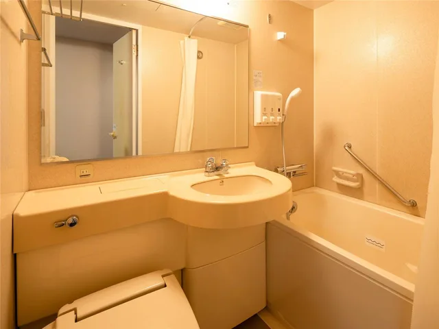 غرفة مفردة، Comfort Hotel Toyokawa 5/5