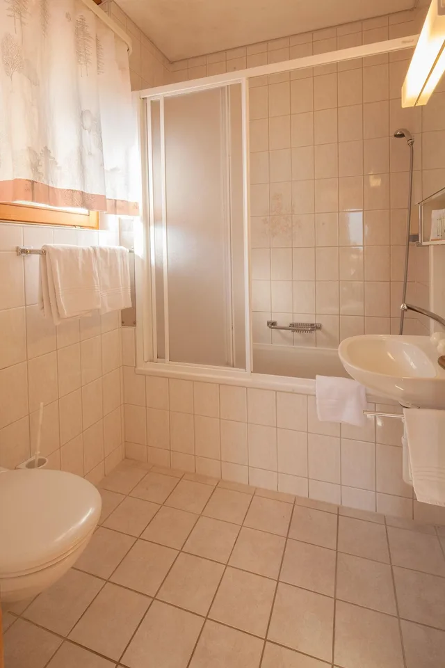 1 Bedroom, Suite, Mountain View, Hotel Alpenhof 2/2