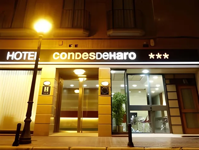 غرفة تُحدَّد حسب التوفر، Condes de Haro 1/1