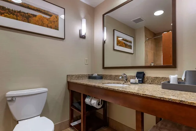 جناح عائلي ديلوكس بسرير كينج وسريرين كوين بإطلالة على البحيرة مع أريكة، Lift Bridge Lodge Ascend Hotel Collection 10/10