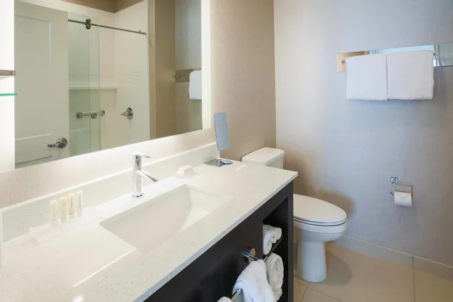 استوديو بسرير كينج مع أريكة، Residence Inn By Marriott Louisville East/Oxmoor 1/1