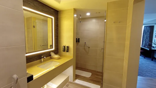 غرفة بانورامية بريميير تنفيذية، Sarova Panafric 8/8