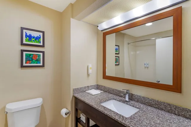 جناح بزنس بسرير كينج، Comfort Suites Deer Park Pasadena 3/3
