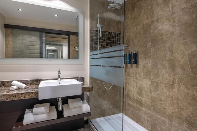 غرفة بسرير كينج، Hilton Geneva Hotel and Conference Centre (EX-Starling E EX-Crowne) 14/16