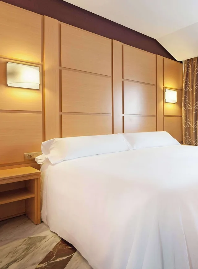 غرفة سوبيريور بسرير كوين، Hotel Puertollano 1/3