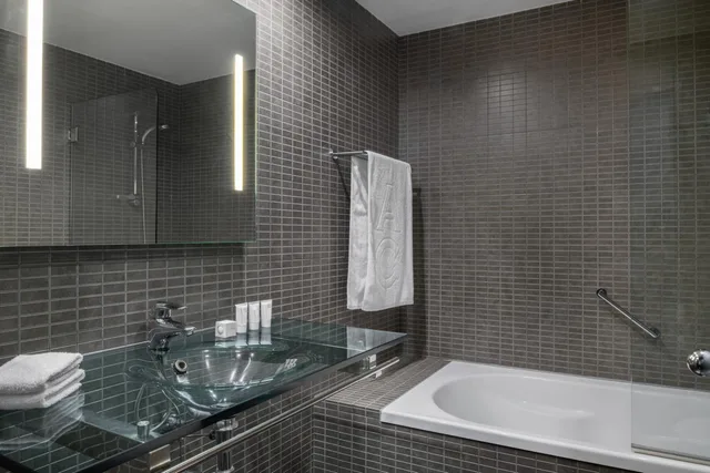 غرفة قياسية بسريرين منفصلين مع سرير إضافي، Ac Hotel Porto 3/4