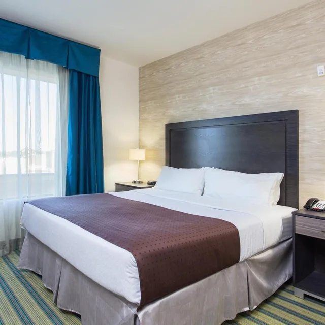 جناح بسرير كينج مع أريكة لذوي الإعاقة، Holiday Inn Texarkana Arkansas Conv Ctr 1/2