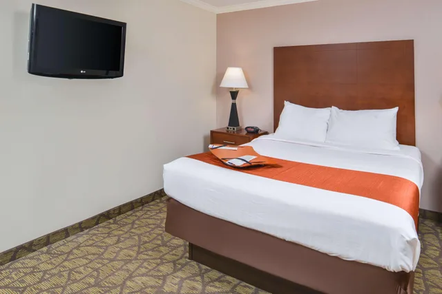 جناح بسرير كوين، Best Western Of Hartland 1/1