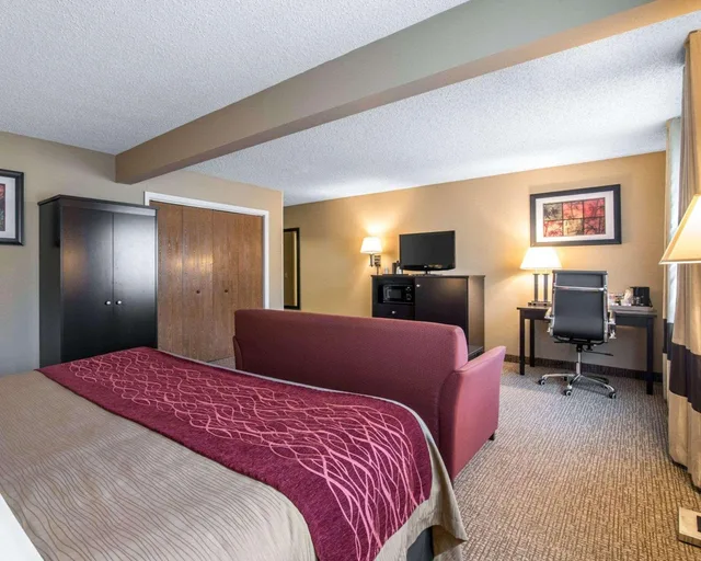 Efficiency, King Bed، Comfort Inn Saugerties 1/4