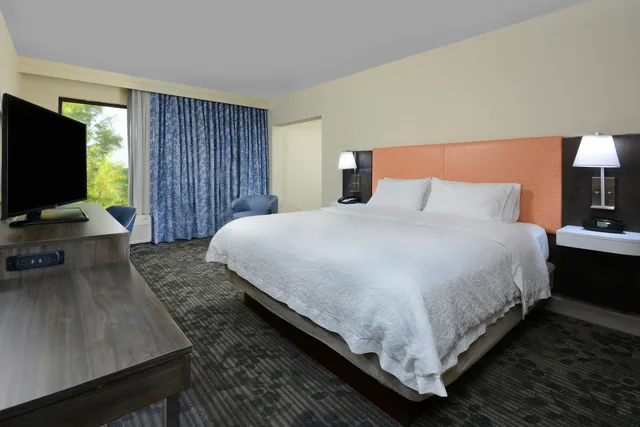 غرفة بسرير كينج مع أريكة، Hampton Inn & Suites Greenville/Spartanburg I-85 4/7