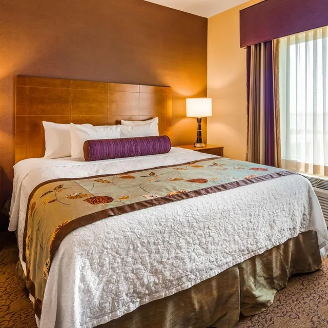 جناح بسرير كينج بغرفة نوم واحدة مع أريكة، Best Western Plus Carousel Inn & Suites 4/8