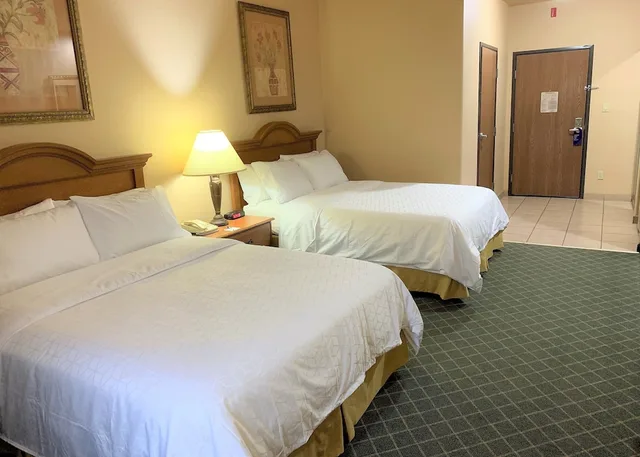 Standard, Queen Bed, Holiday Inn Express Hotel Suites Alice 1/10