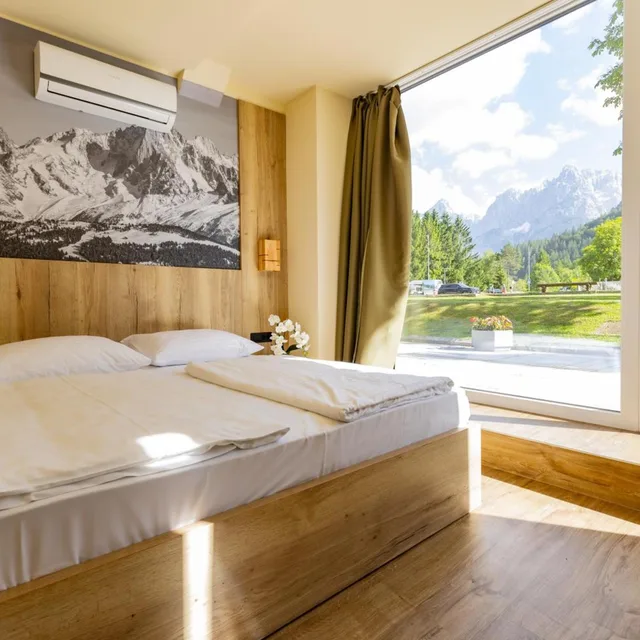 Deluxe, Double or Twin Bed, Mountain View, Hotel Kranjska Gora 7/10