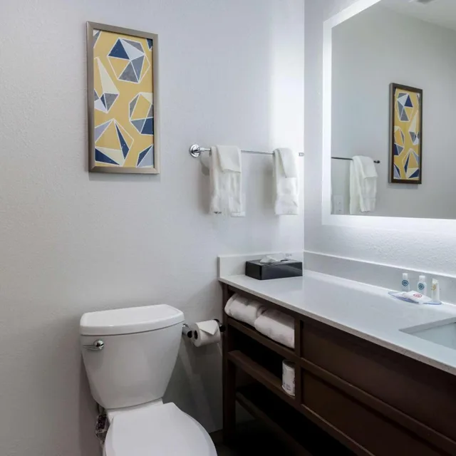 جناح بغرفة نوم واحدة مع أريكة في طابق مرتفع، Comfort Inn & Suites Lexington South 8/8
