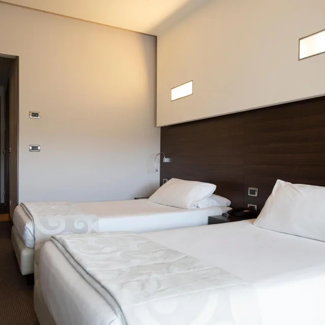 Room, Double or Twin Bed, Hotel Selene 3/10