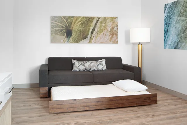 Studio, Multiple Beds, Accessible، Springhill Suites By Marriott Roanoke North 4/9