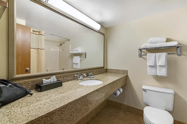 غرفة قياسية بسرير كينج يُسمح فيها بالحيوانات الأليفة، Best Western Royal Plaza Hotel & Trade Center 7/7