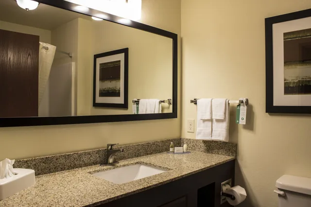 جناح بسرير كينج مع أريكة، Cobblestone Hotel & Suites - Chippewa Falls 2/2