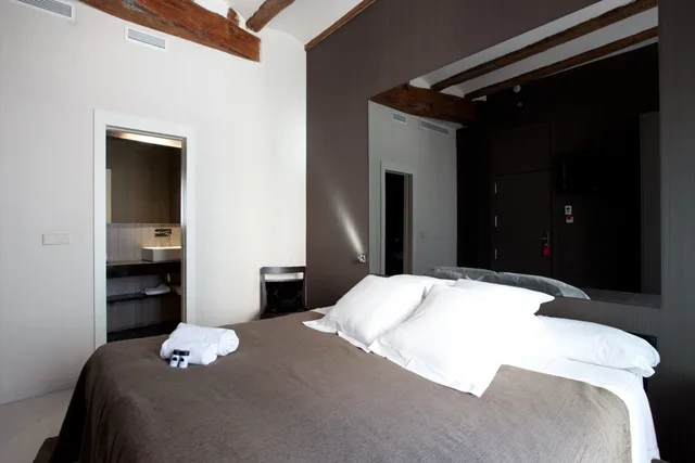 غرفة سوبيريور بسرير مزدوج، Cosy Rooms Embajador 3/10