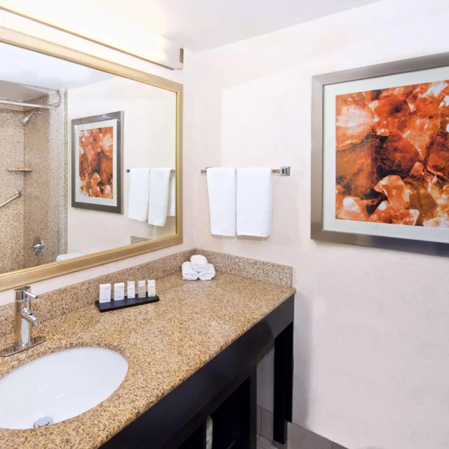 جناح بسرير كوين بإطلالة على الجبل بغرفتين، Embassy Suite Hotel Colorado Springs 2/2