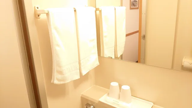 غرفة قياسية بسريرين منفصلين، Toyoko Inn Kagoshima Temmonkan No.2 8/8