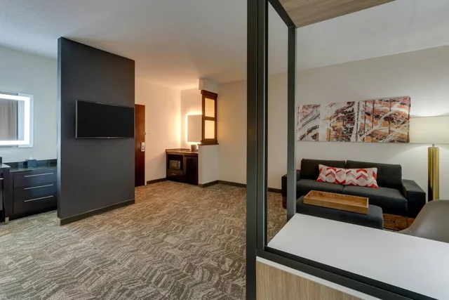 استوديو ديلوكس بسرير كينج، SpringHill Suites Birmingham Downtown at UAB 5/7