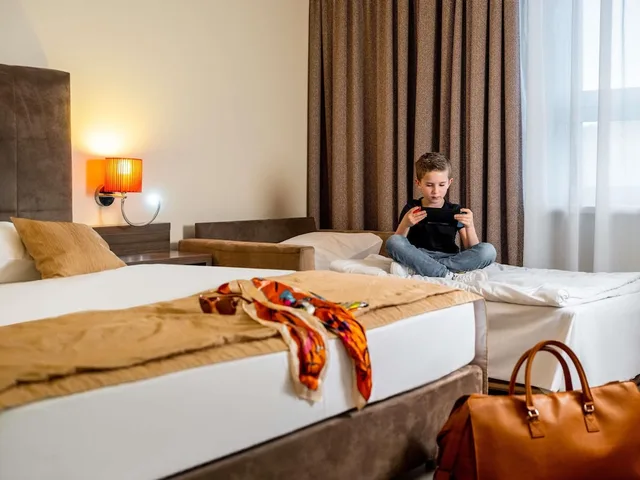 غرفة بريفيليج بسرير مزدوج مع أريكة، Mercure Graz City Hotel 5/6