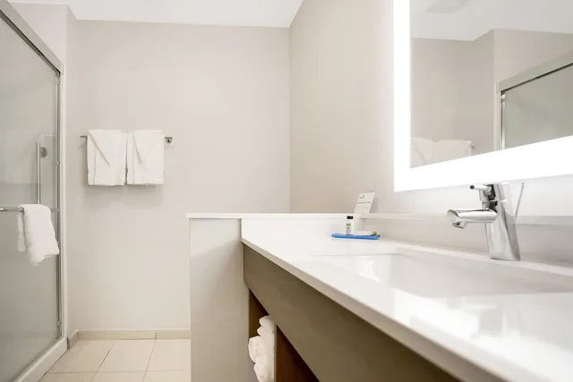 Standard, King Bed, Accessible, Holiday Inn Express Jacksonville South Bartram Prk 3/10