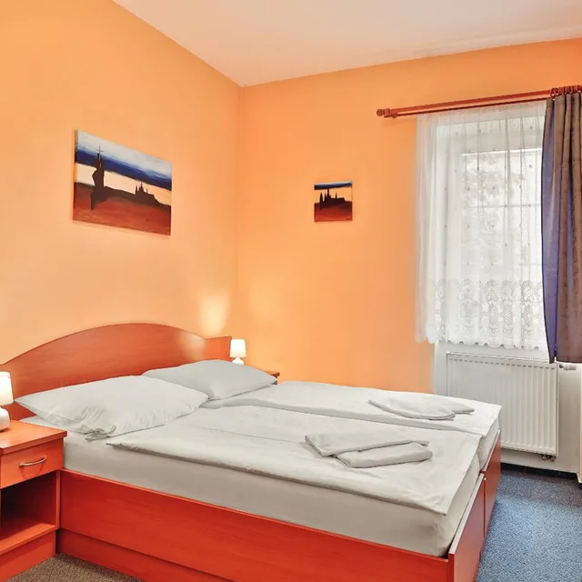 Standard, King Bed, Hotel Attic 1/6