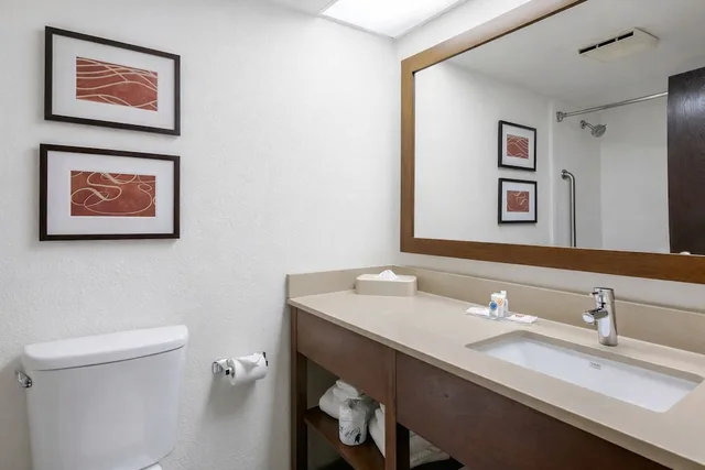 Suite, King Bed, Corner, Comfort Suites Baymeadows Near Butler Blvd 3/6