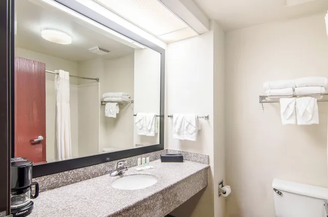 غرفة قياسية بسريرين مزدوجين للمدخنين، Quality Inn near University of Mobile 4/4