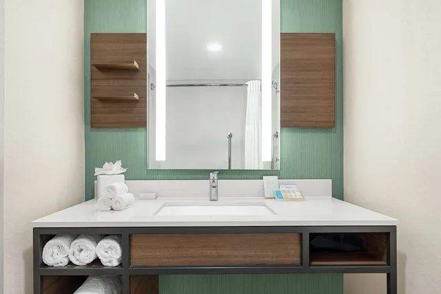 Room, King Bed, Peloton، Hilton Garden Inn Allentown Bethlehem Airport 2/2