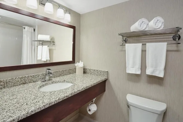 غرفة رباعية بسريرين كوين، Holiday Inn Hotel & Suites Chicago-Carol Stream(Wheaton) 2/2