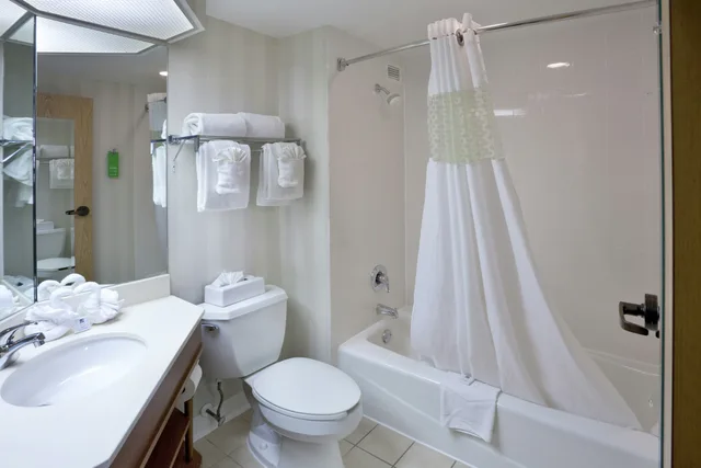 غرفة بسرير كينج لذوي الإعاقة، Hampton Inn St. Charles St. Peters 4/4