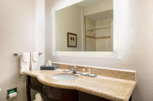 غرفة ديلوكس بسرير كينج لذوي الإعاقة، La Quinta Inn And Suites By Wyndham Lindale 8/8