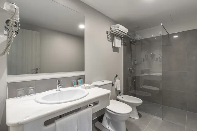 Superior, Twin Beds, Balcony, Enotel Magnolia 5/5