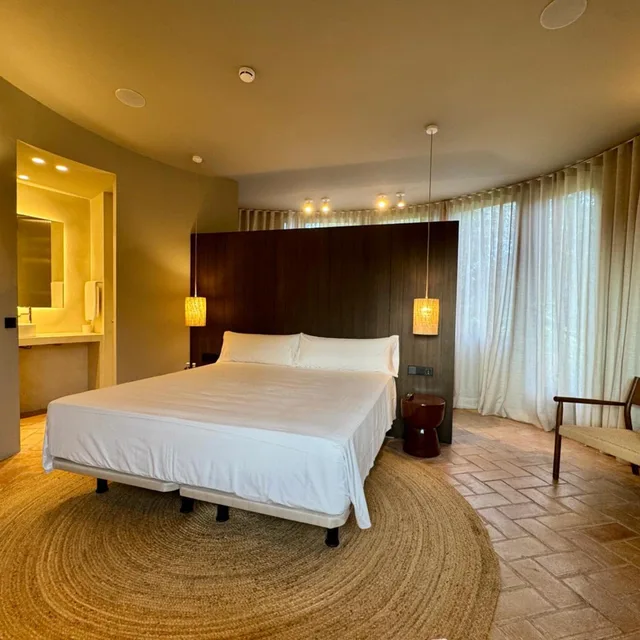 جناح سوبيريور، Hotel Mas Salvi 1/4