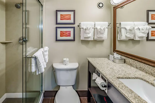 Room, Quadruple, Comfort Inn Staunton 4/4