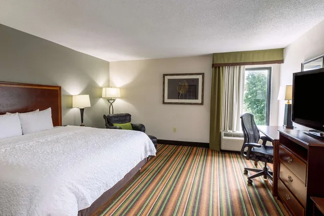 Studio, Suite, King Bed, Kitchenette, Hampton Inn Hanes Mall Winston-Salem 1/3