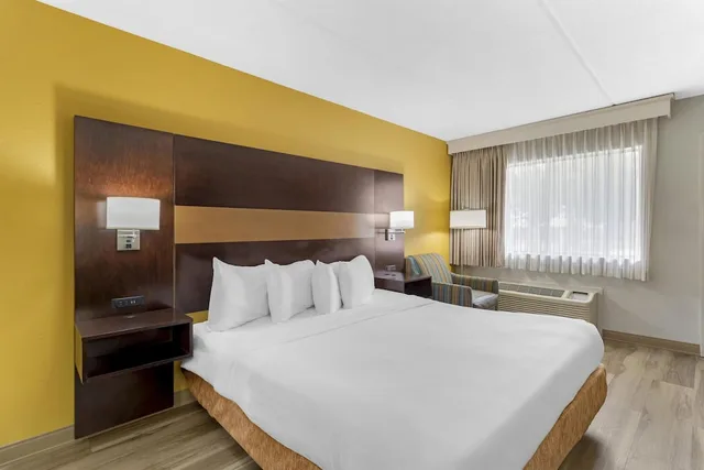 غرفة قياسية بسرير كينج لذوي الإعاقة، Best Western Inn of Palatka 3/10