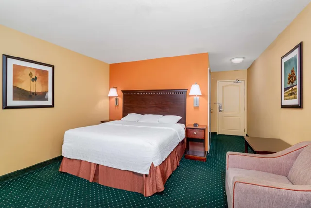 استوديو بسرير كينج مع أريكة لذوي الإعاقة، Hampton Inn and Suites Sacramento-Elk Grove Laguna I-5 1/4