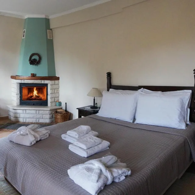 غرفة ديلوكس بسرير مزدوج أو سريرين منفصلين، MELEGOS HOTEL 3/8