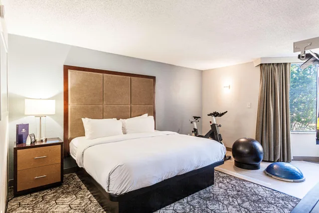 Fitness, King Bed, Peloton، Doubletree Memphis 1/1