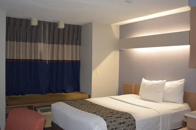 Standard, Queen Bed, Accessible, Microtel Inn & Suites by Wyndham BWI Airport Baltimore 2/8