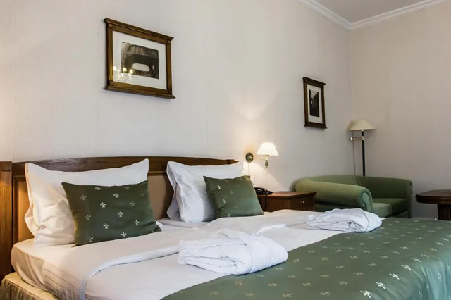 غرفة ديلوكس بسرير مزدوج مع أريكة، Hotel Dvorak 3/7
